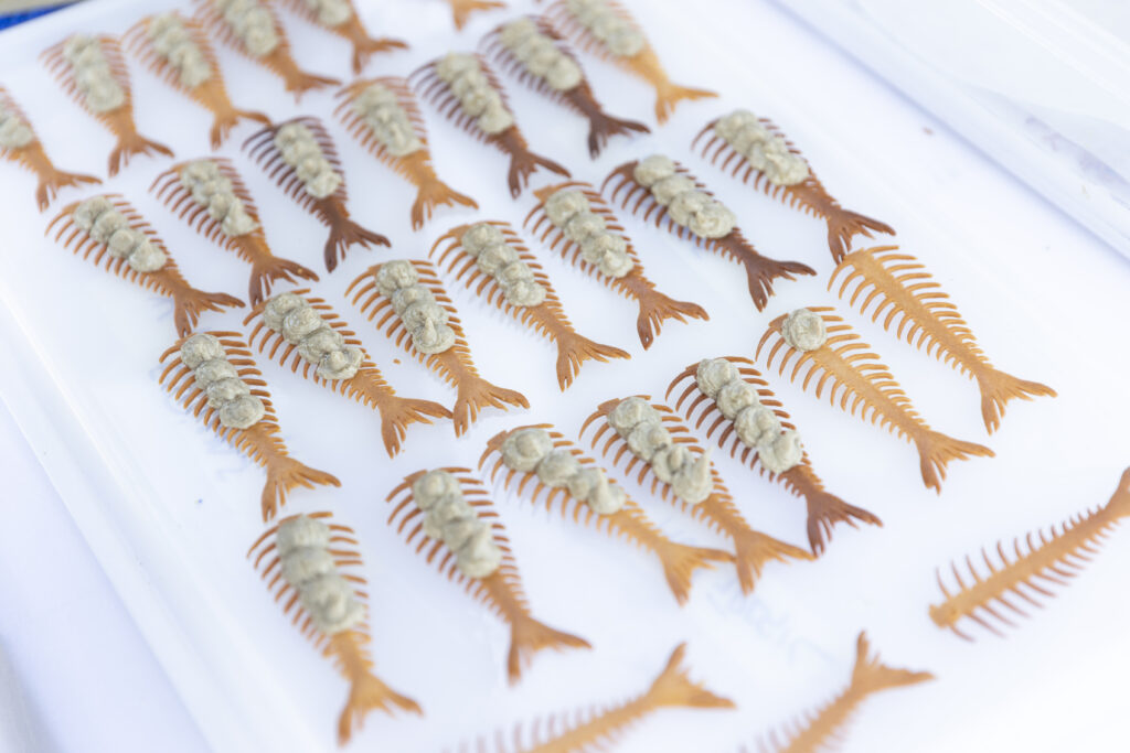 gastrollar_25_lunes__190