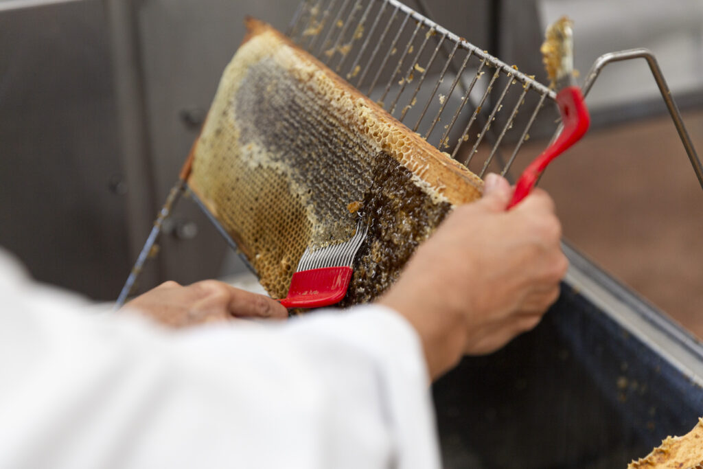 gastrollar_25_martes_10