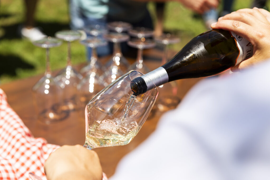 gastrollar_25_martes_104