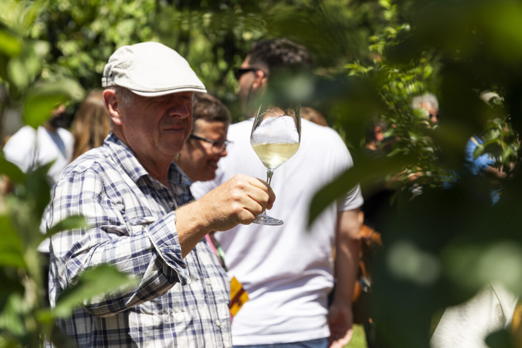 gastrollar_25_martes_107