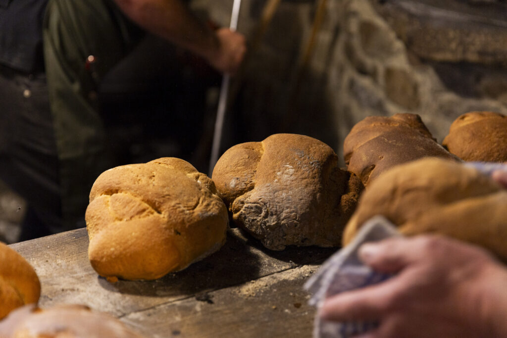 gastrollar_25_martes_122