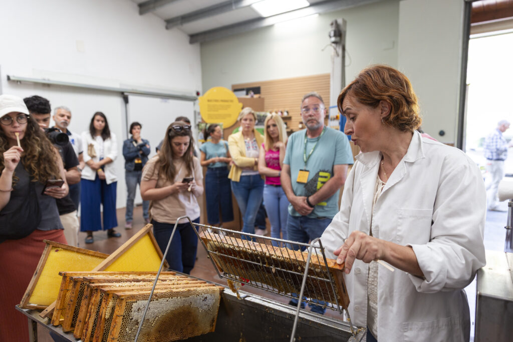 gastrollar_25_martes_17