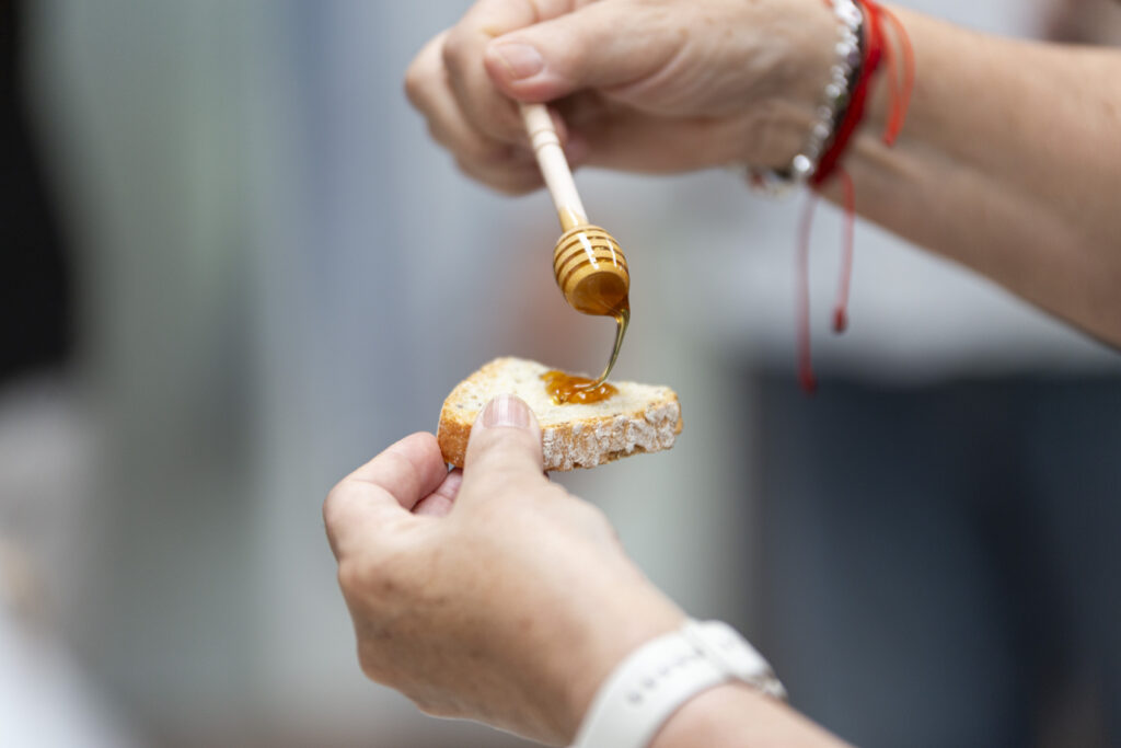 gastrollar_25_martes_24