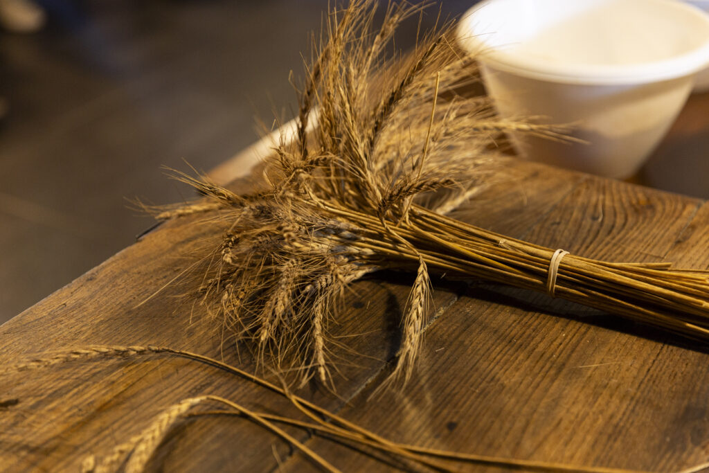 gastrollar_25_martes_40