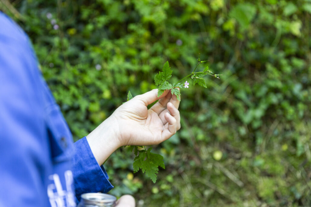 gastrollar_25_martes_95